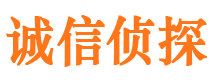 安新市私家侦探